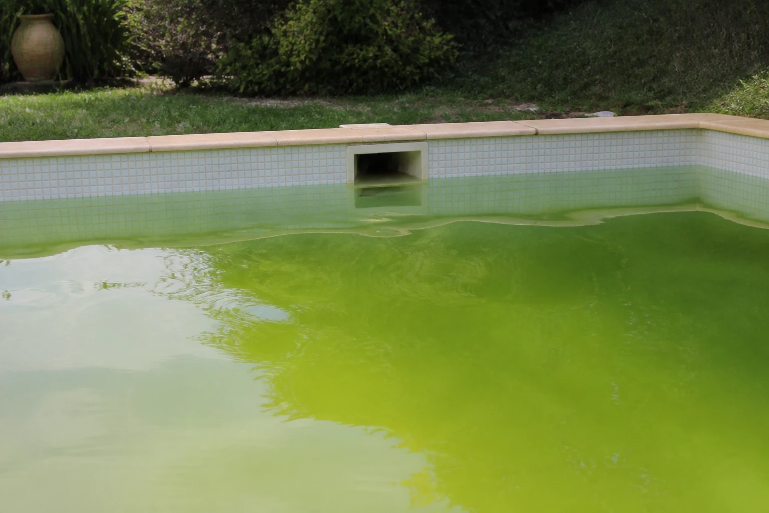 Eau de piscine verte trouble vue depuis le bord du bassin par temps ensoleillé